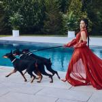 artist image Cardi B Drip Invasion of Privacy