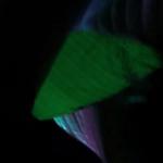artist image Mr. Verty Tokyo Drift ( Bassboosted ) The Fast and the Furious: Tokyo Drift - Single