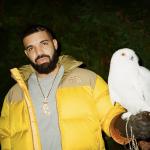 artist image Drake When To Say When Dark Lane Demo Tapes