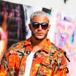 artist image DJ Snake feat. Alesia Bird Machine Bird Machine (feat. Alesia) - Single