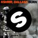 KSHMR, DallasK - Burn