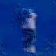 Loopy - Goyard