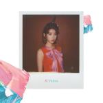 album image Through the Night Palette