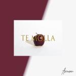 album image Te Molla (feat. Killua) Te Molla (feat. Killua) - Single