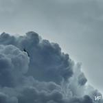 album image TRUST CLOUDS (THE MIXTAPE)