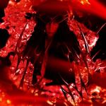 album image Снова обогнал их #fuxkuglystephan - EP