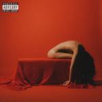 album image What do you want from me? THE DEATH OF PEACE OF MIND