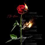 album image I Ke Harru I Ke Harru - Single