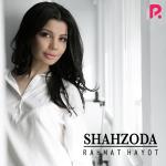 poster Habibi ft Faydee ft Dr Costi Rahmat hayot