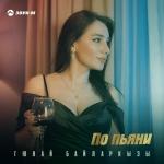 poster По пьяне снова наберешь По пьяни
